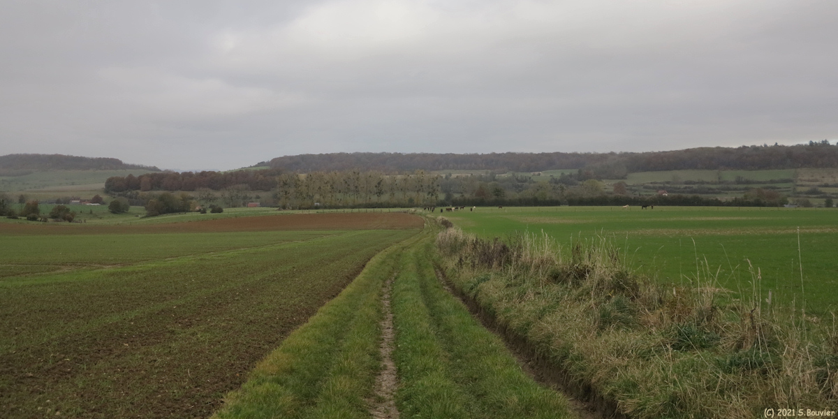 Mesnil-Follemprise (Chemin)