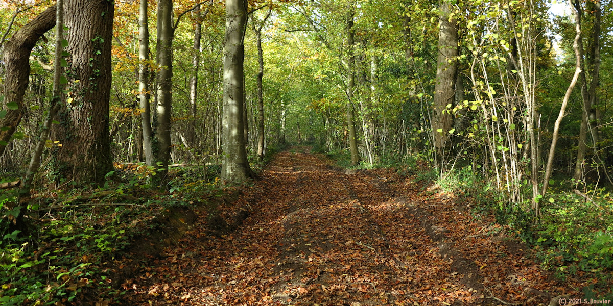Osmoy Saint Valery (Chemin 1)