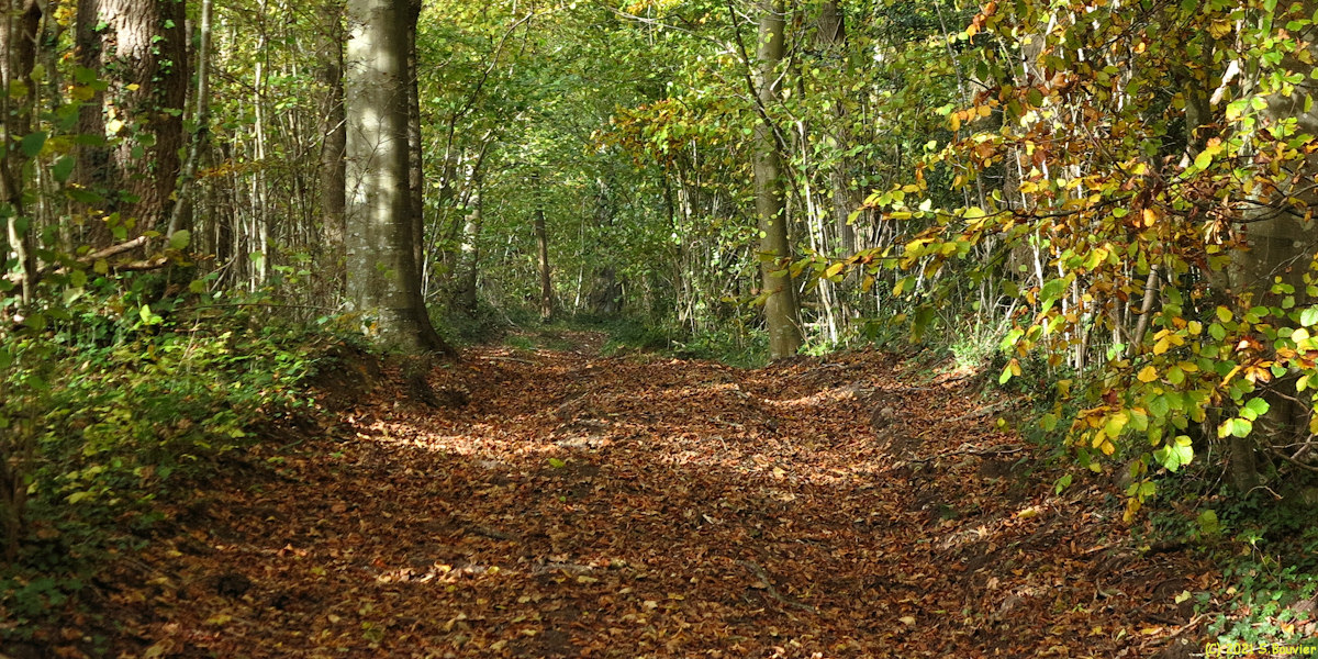 Osmoy Saint Valery (Chemin 2)