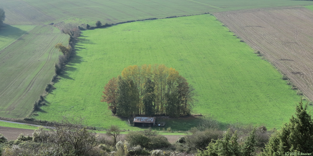 Ricarville du Val (Champ)