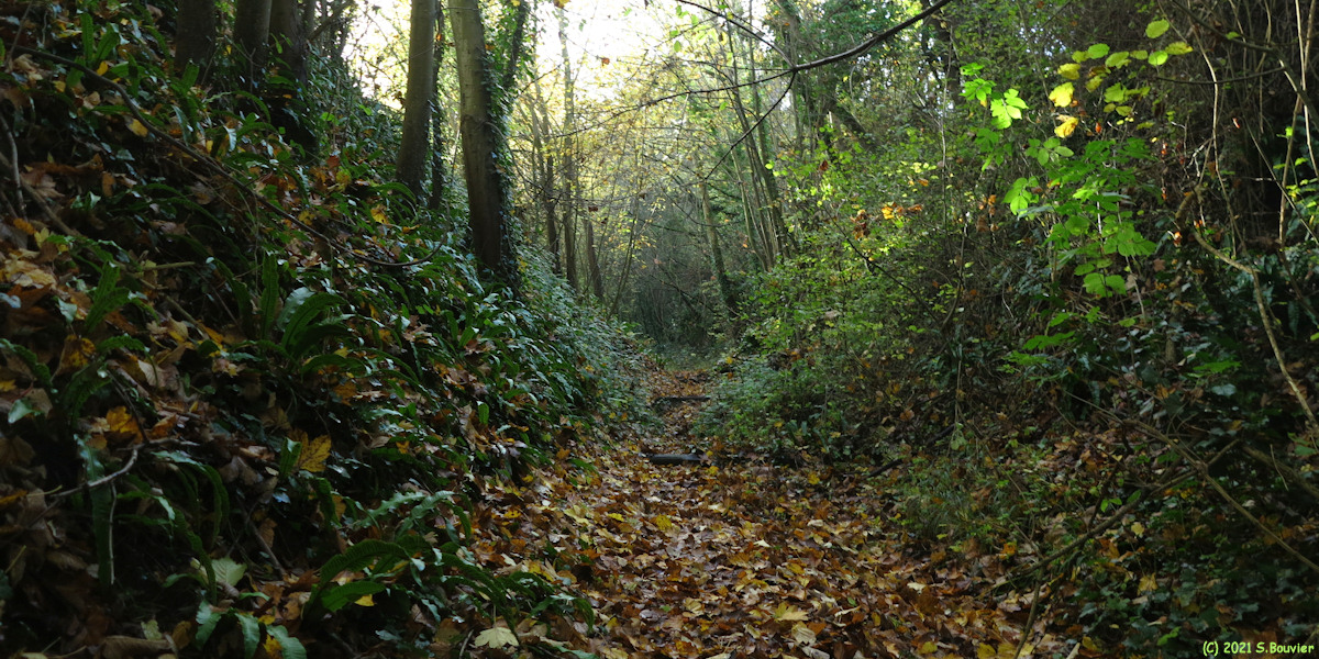 Incheville (Chemin 1)