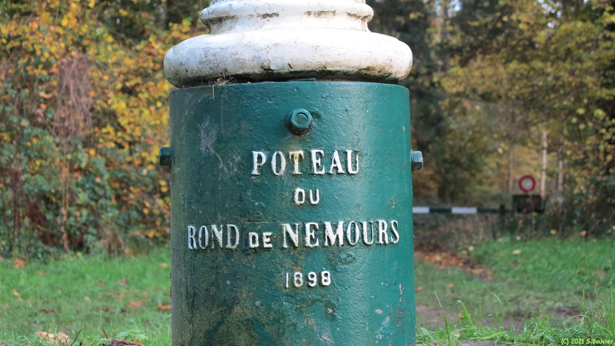 Forêt d'Eu (Poteau 1)