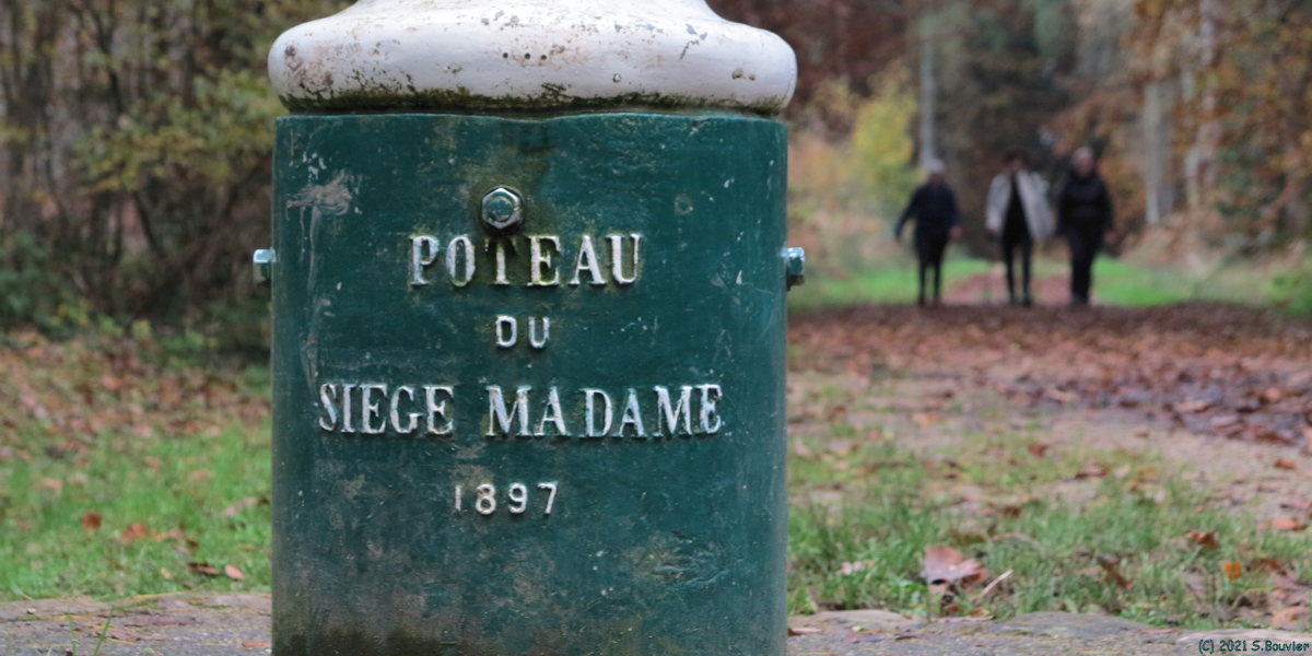 Forêt d'Eu (Poteau 3)