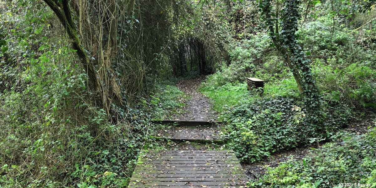 Mesnières en Bray (Sentier)