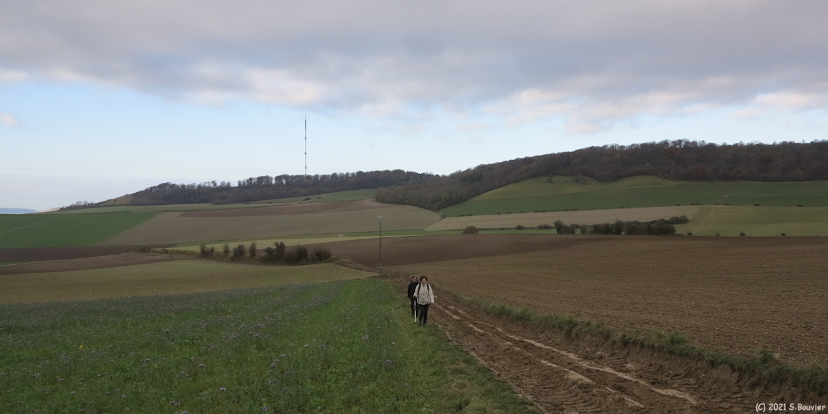 Mesnières en Bray (Chemin 1)