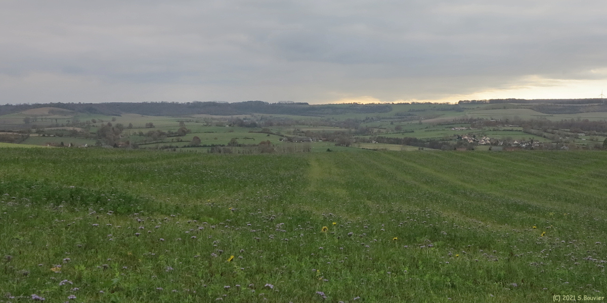 Mesnières en Bray (Vallée 1)
