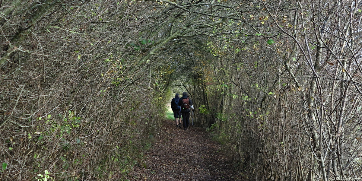 Mesnières en Bray (Chemin 3)