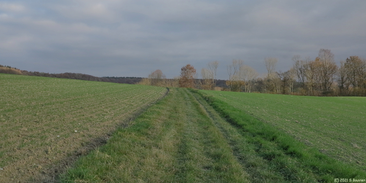 Mesnières en Bray (Chemin 4)
