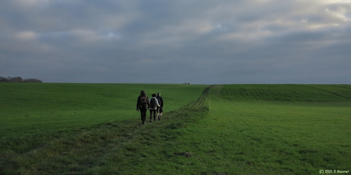Mesnières en Bray (Chemin 5)