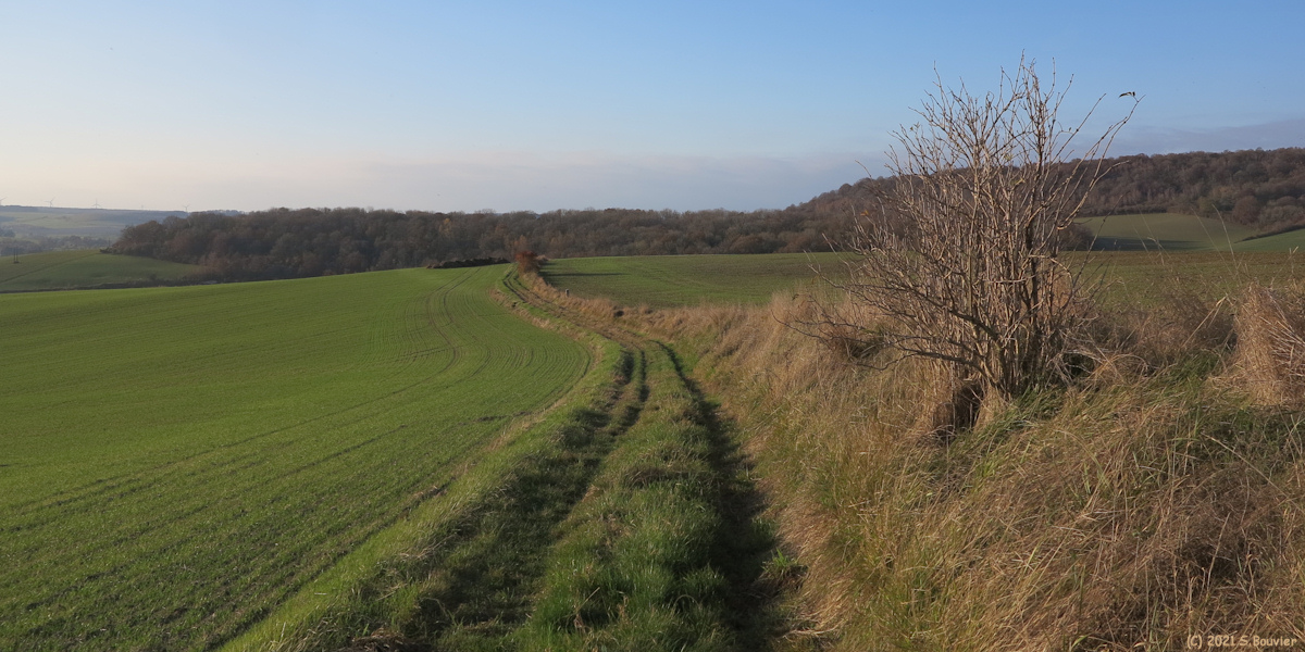 Mesnières en Bray (Chemin 6)