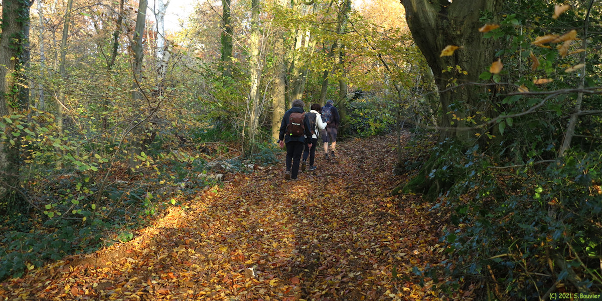 Mesnières en Bray (Chemin 7)