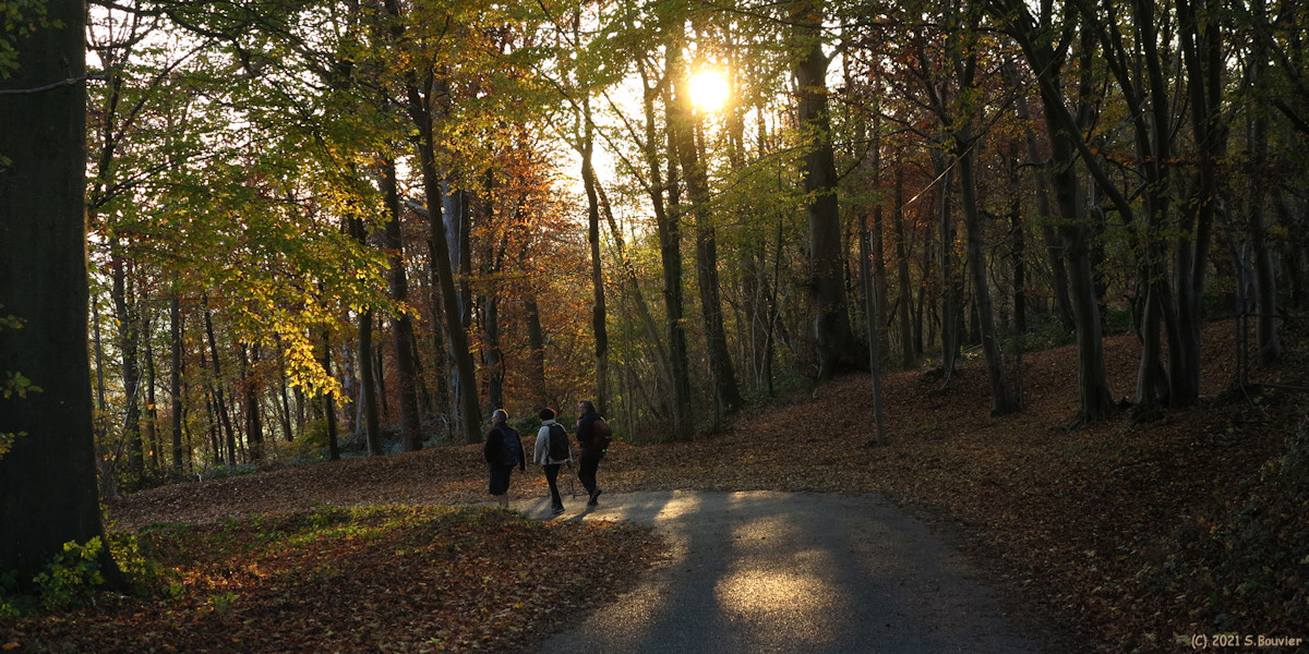 Neufchâtel en Bray (Route 2)