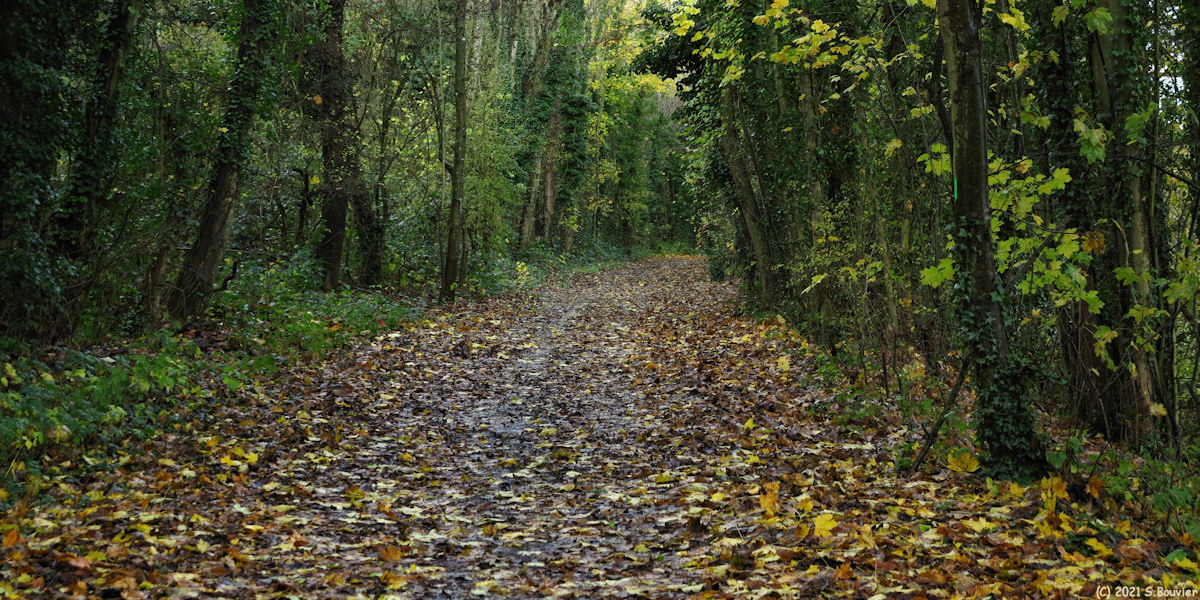 Eu (Chemin 3)