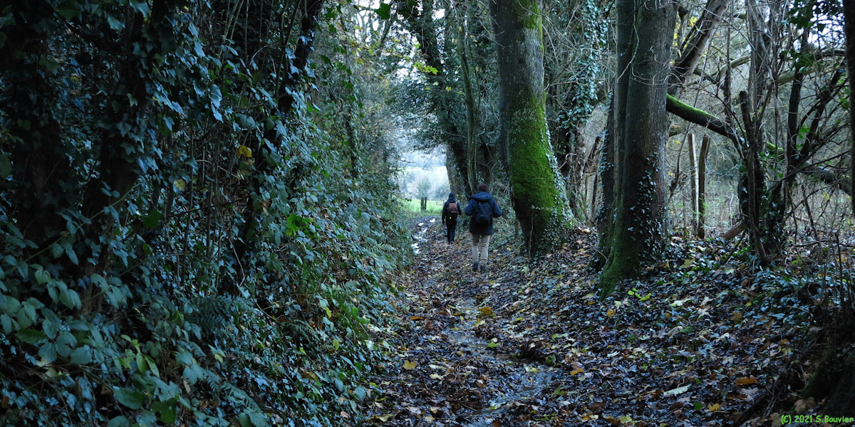 Ponts et Marais (Chemin)