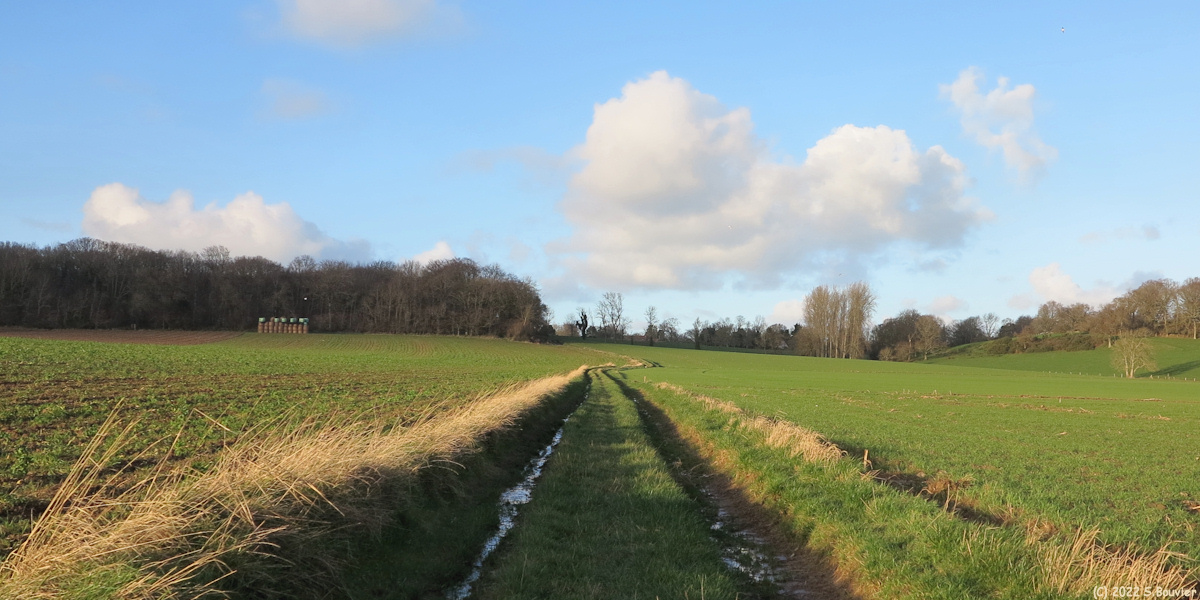 Sainte Marguerite sur Mer (Chemin 1)