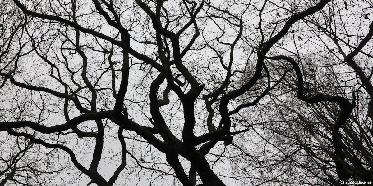 Glicourt (Branches)