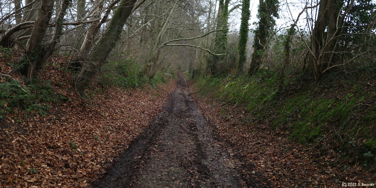 Bellengeville (Chemin 1)