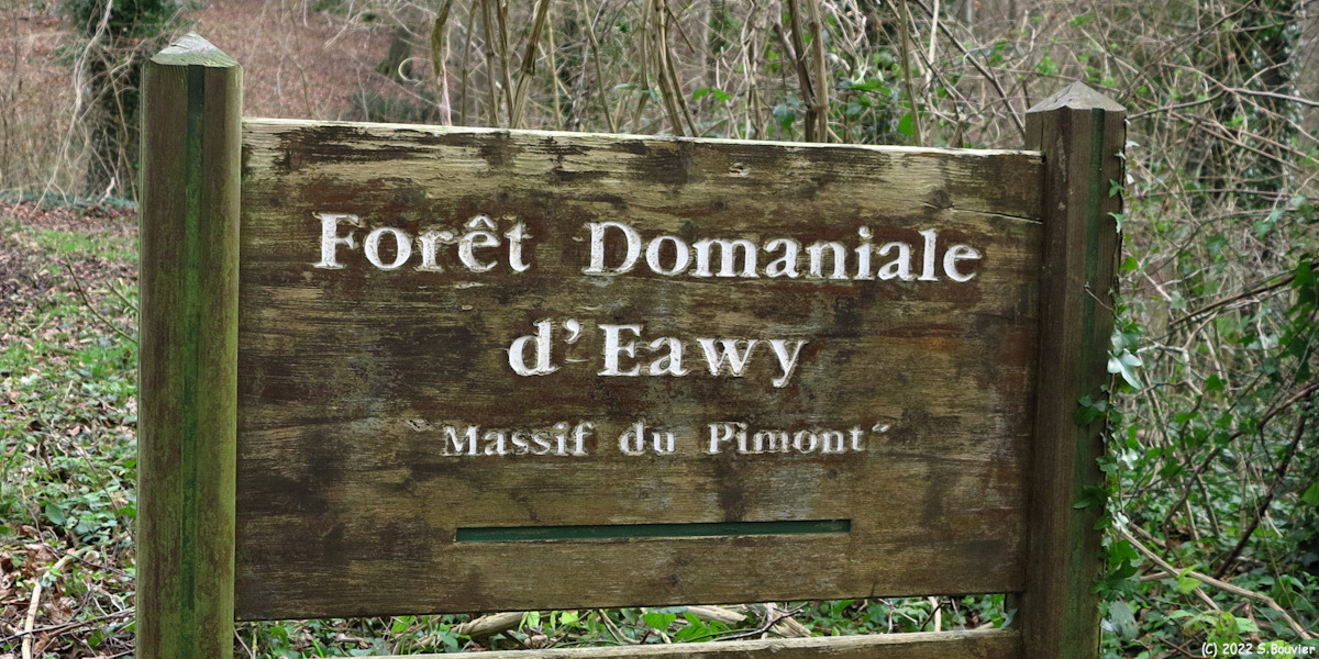 Forêt d'Eawy (Panneau)