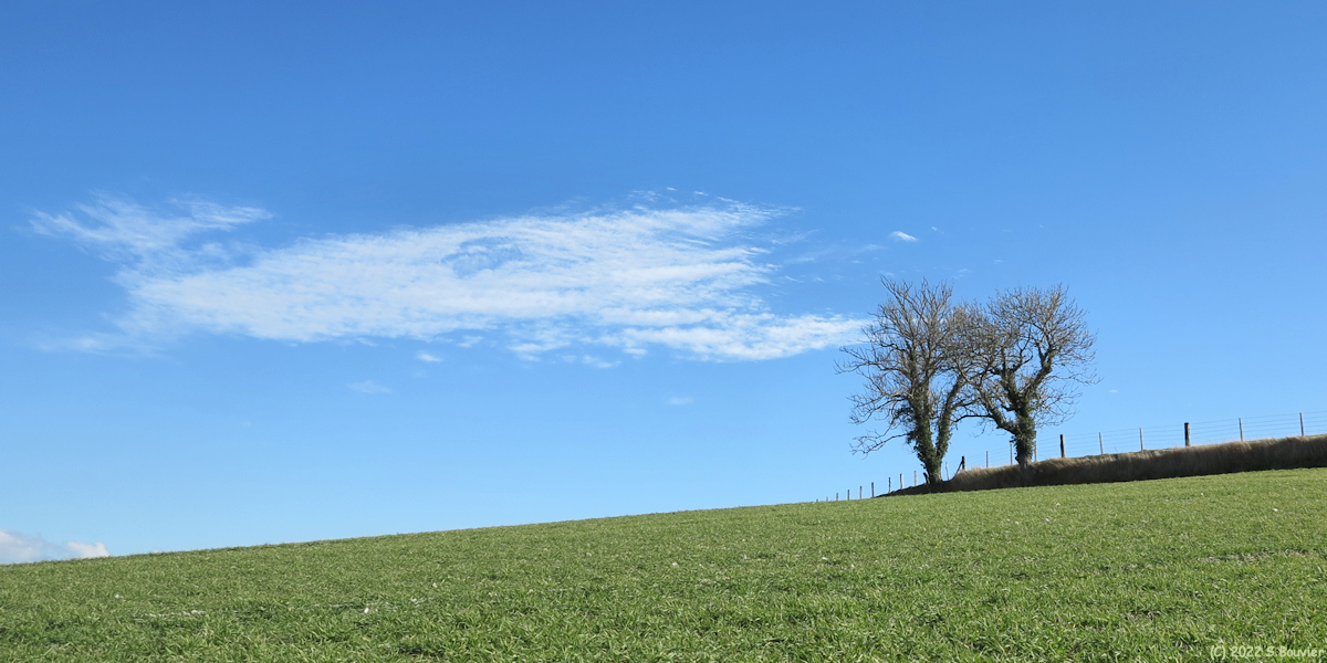Envermeu (Deux Arbres)