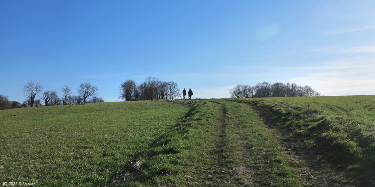 Saint Nicolas d'Aliermont (Chemin 1)