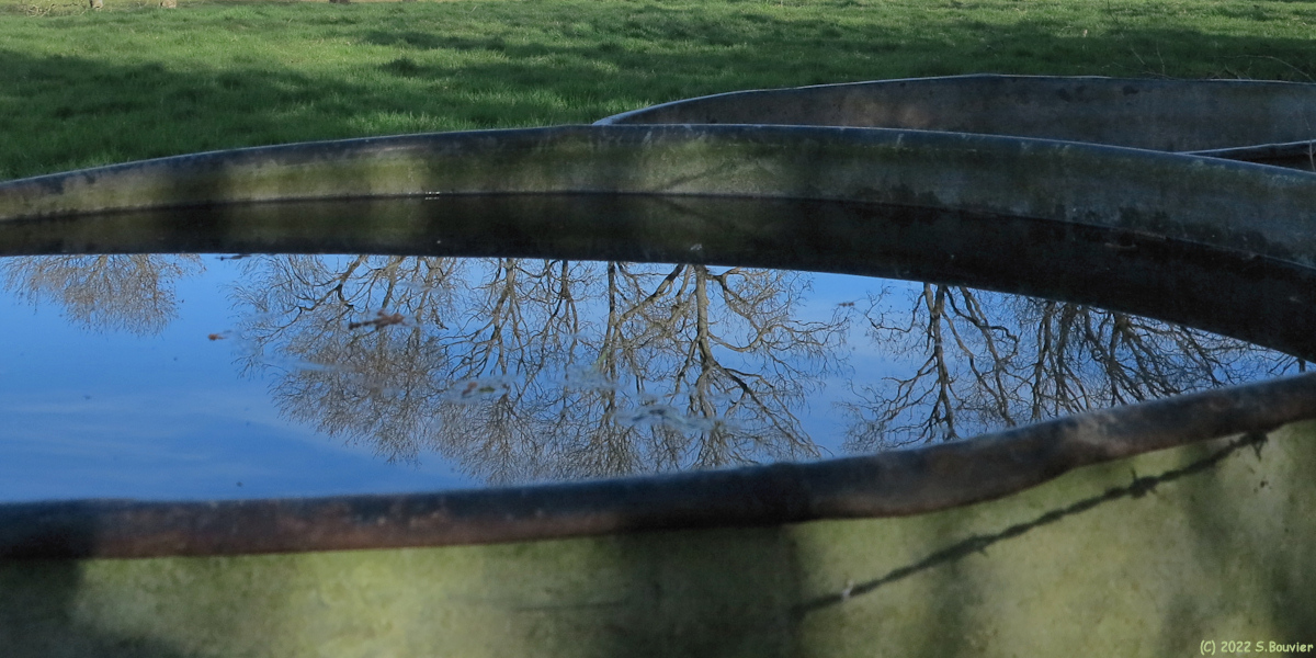 Notre Dame d'Aliermont (Reflet)