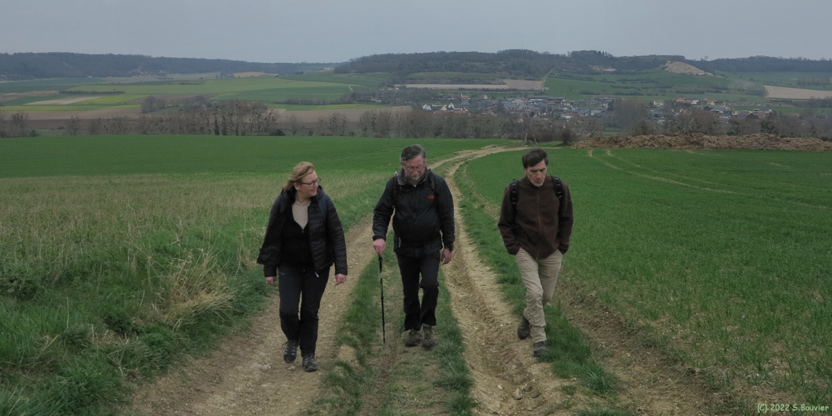 Douvrend (Chemin)