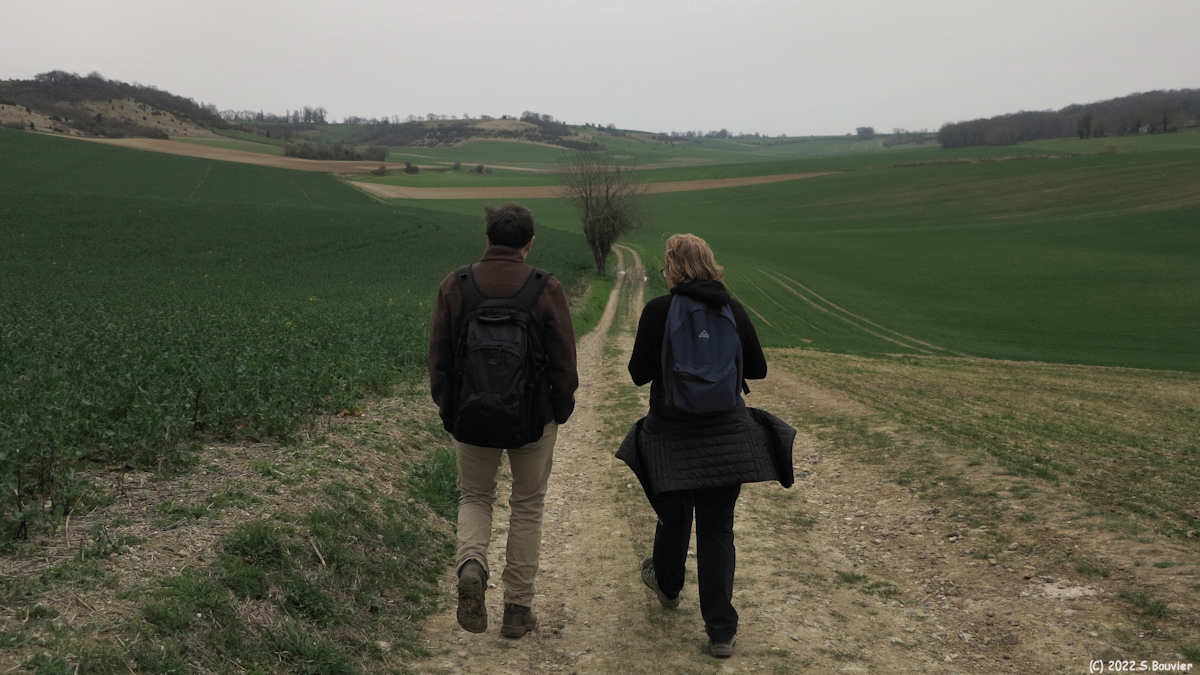 Saint Vaast d'Equiqueville (Chemin)