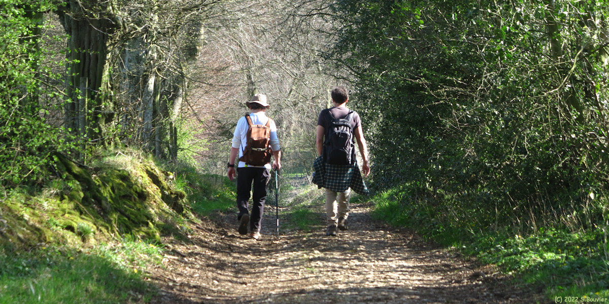 Sainte Agathe d'Aliermont (Chemin)