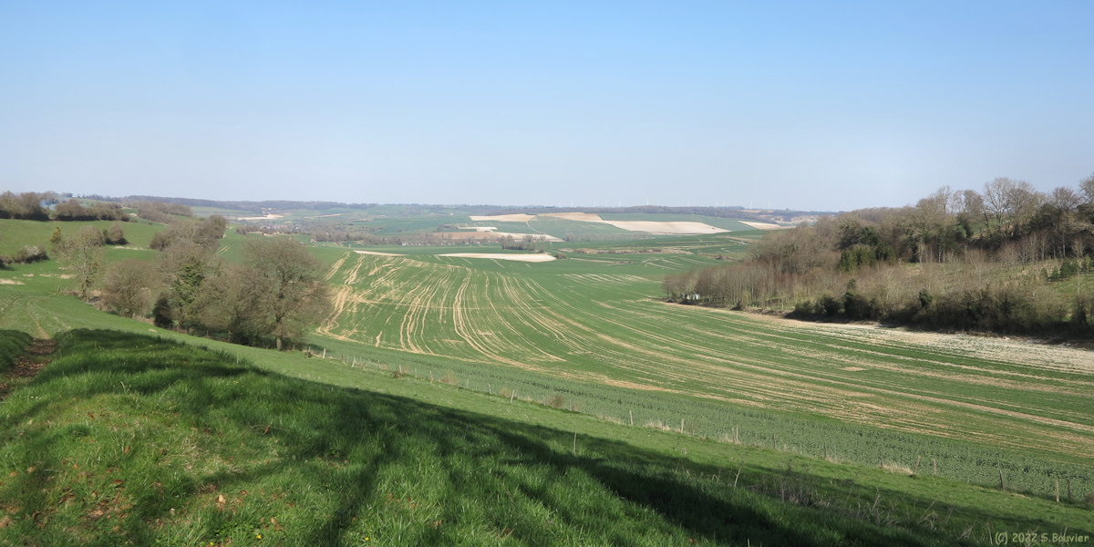 Sainte Agathe d'Aliermont (Fond)