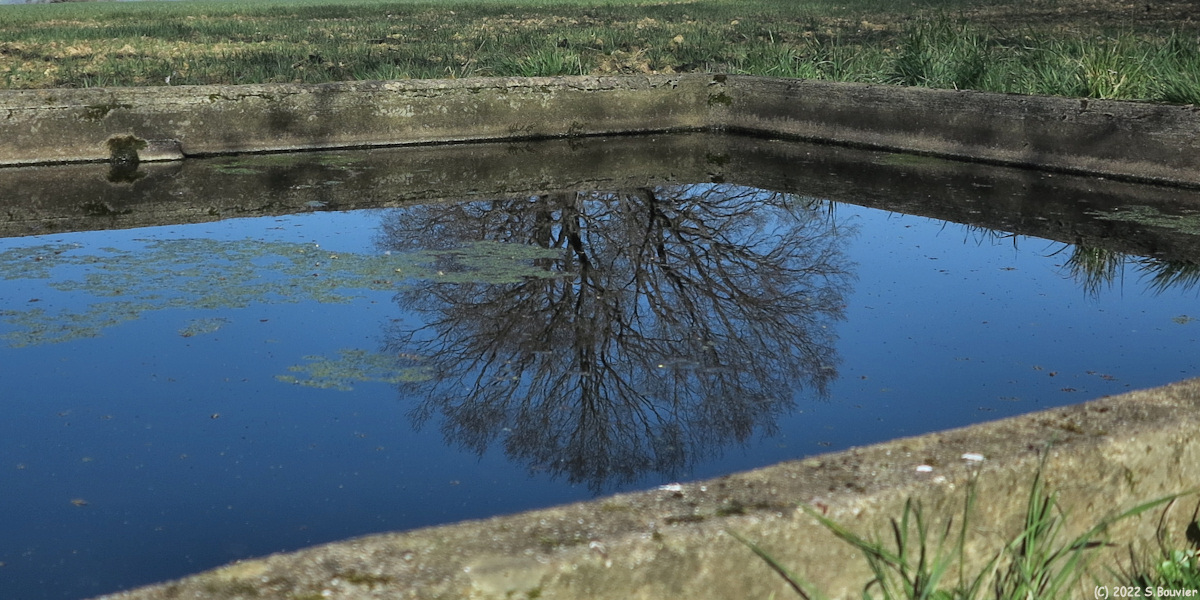 Sainte Agathe d'Aliermont (Reflet)