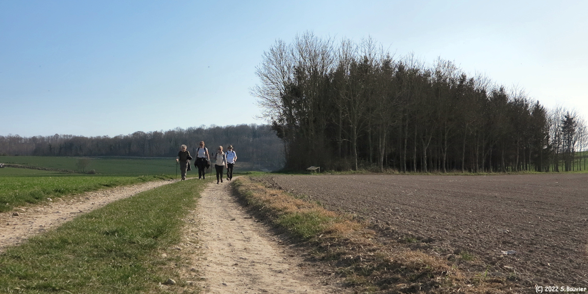 Londinières (Chemin 1)