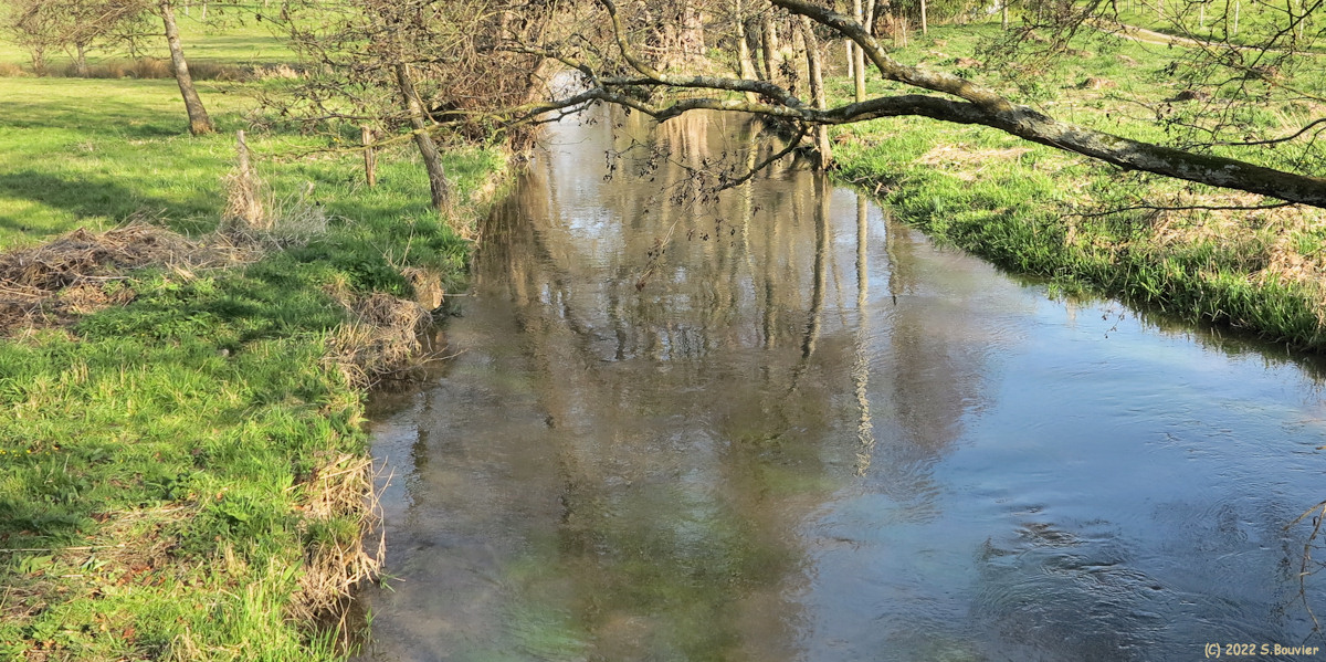 Londinières (Reflet)
