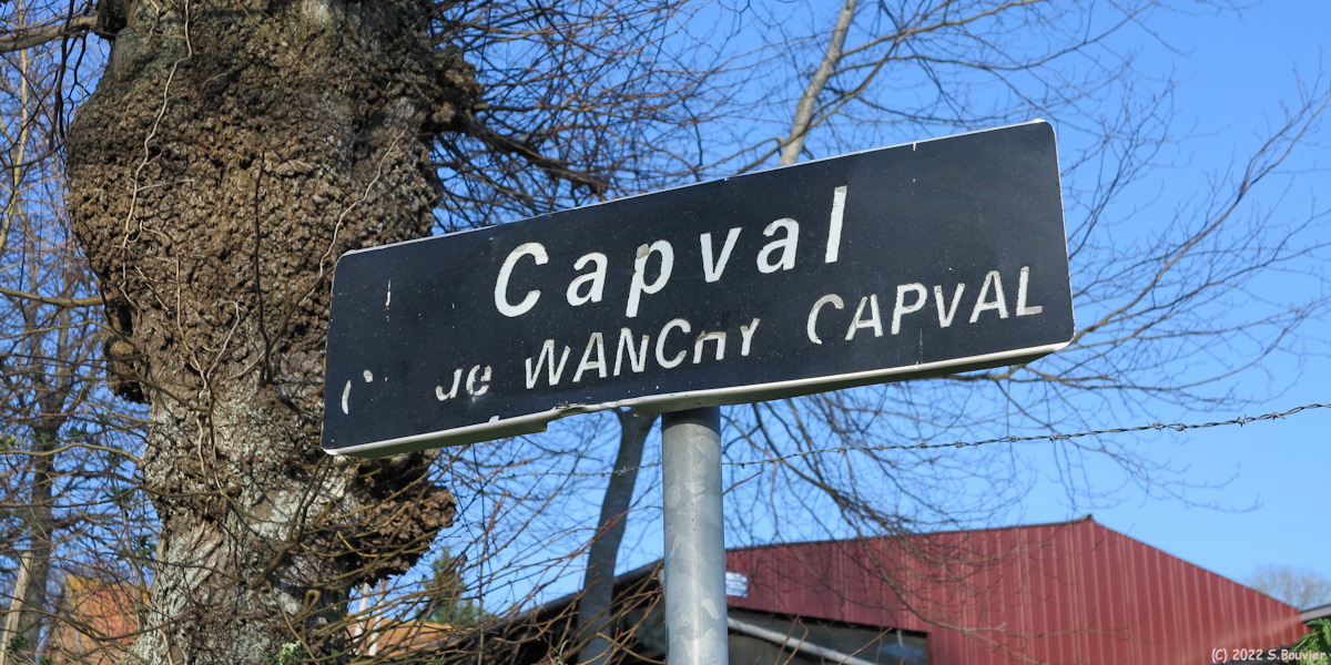 Wanchy Capval (Panneau)