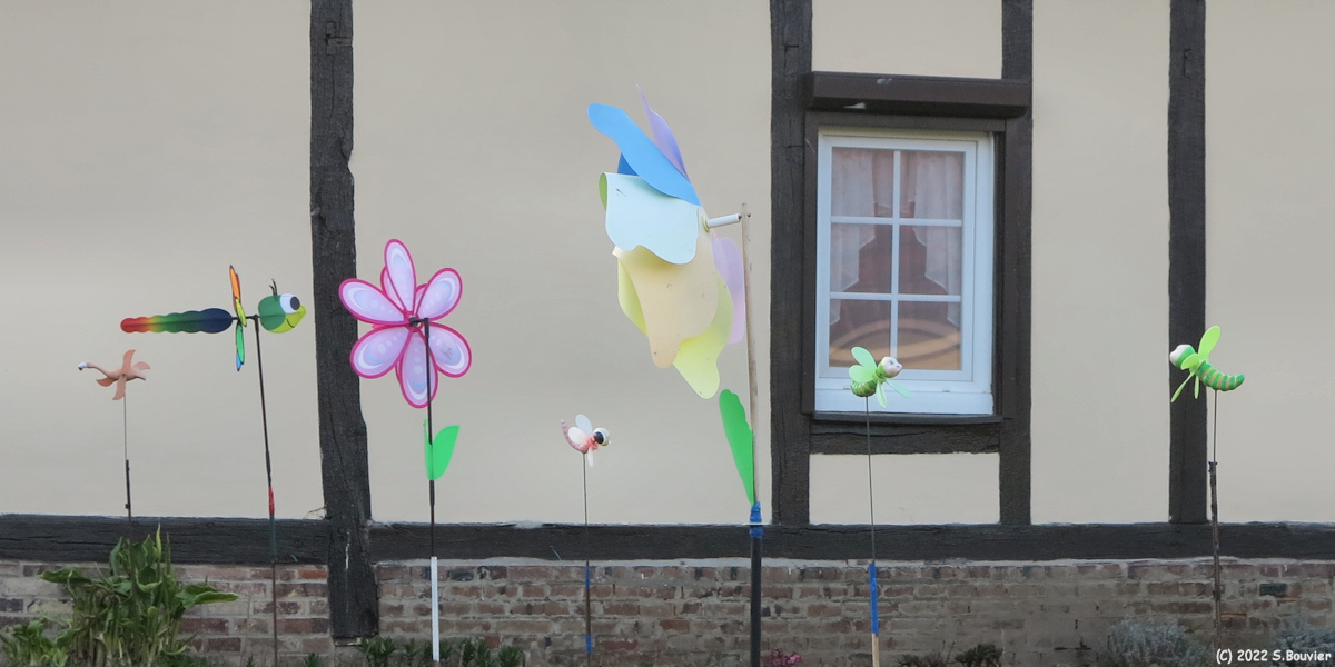 Wanchy Capval (Moulins à Vent)