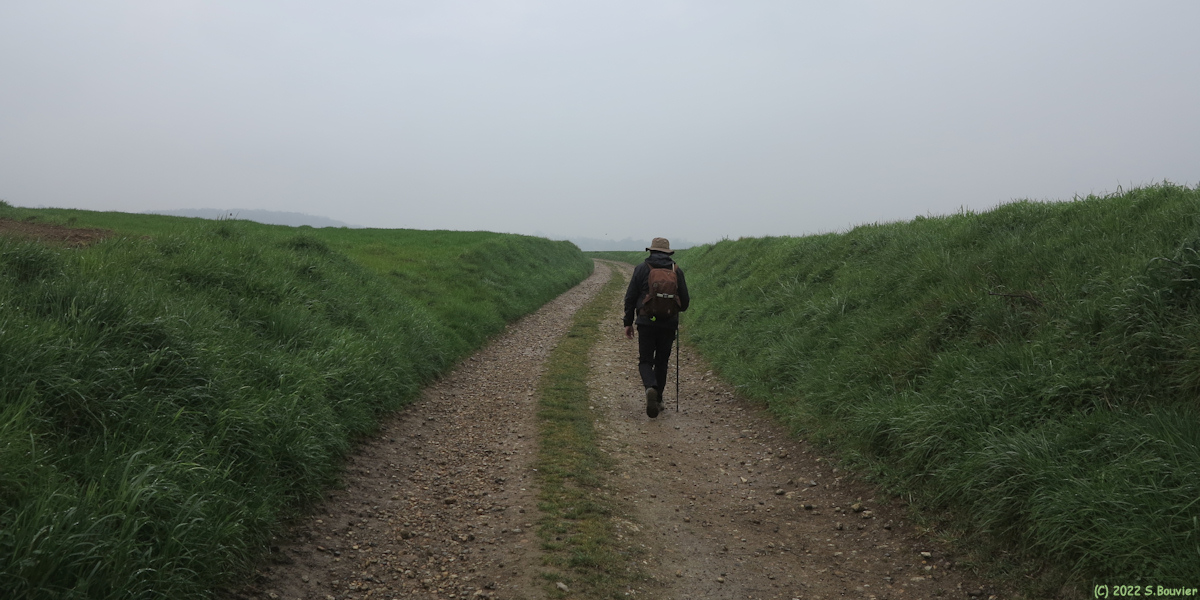 Londinières (Chemin 1)