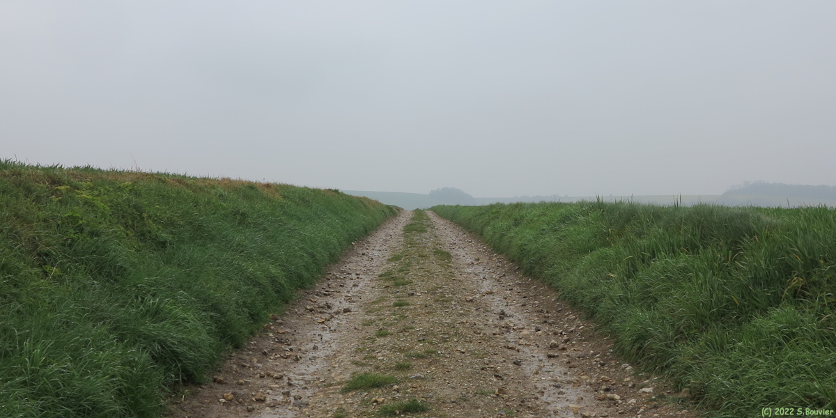 Londinières (Chemin 2)