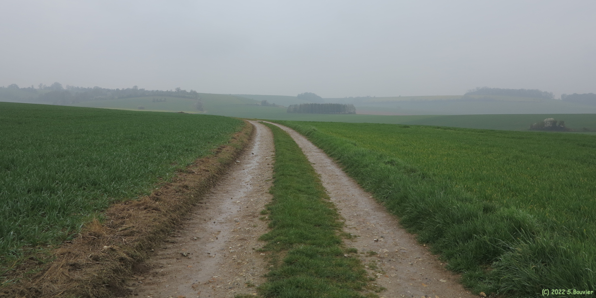Londinières (Chemin 3)