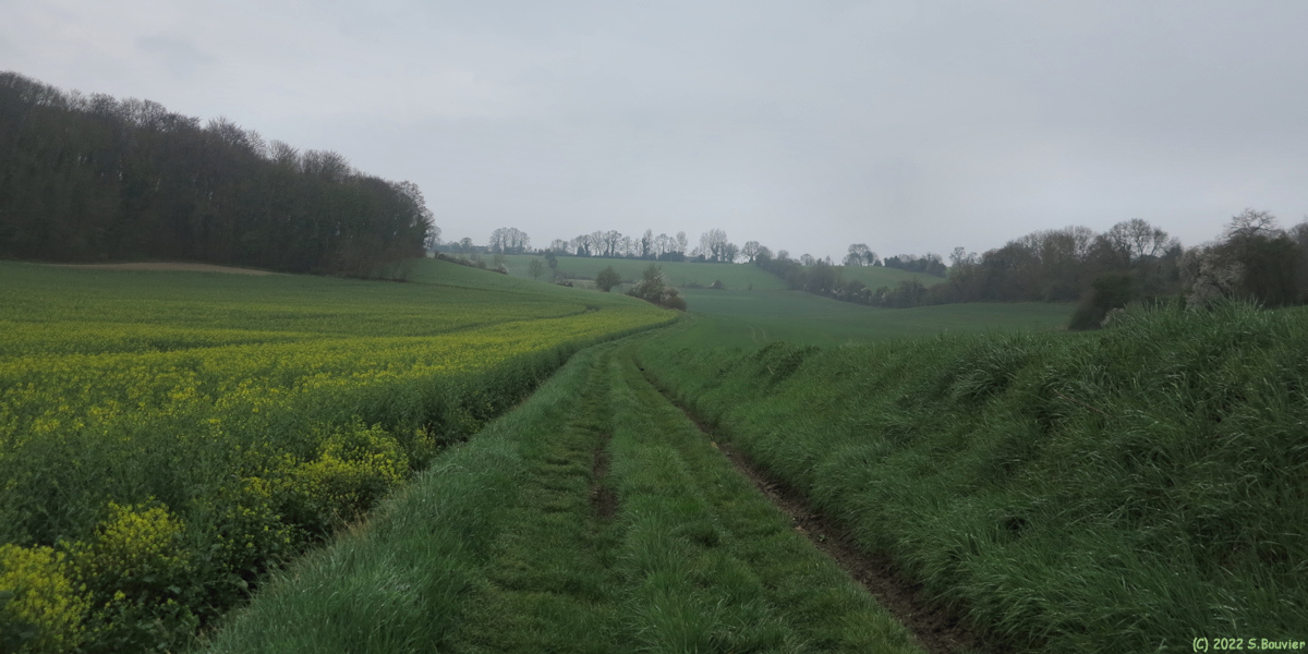 Croixdalle (Chemin)