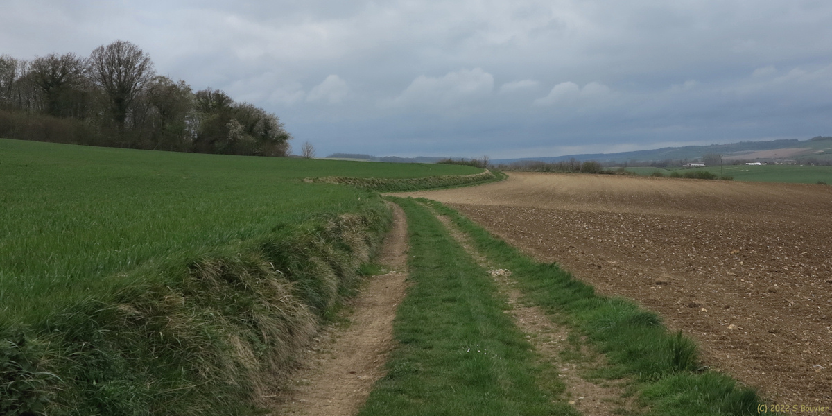 Fréauville (Chemin 1)