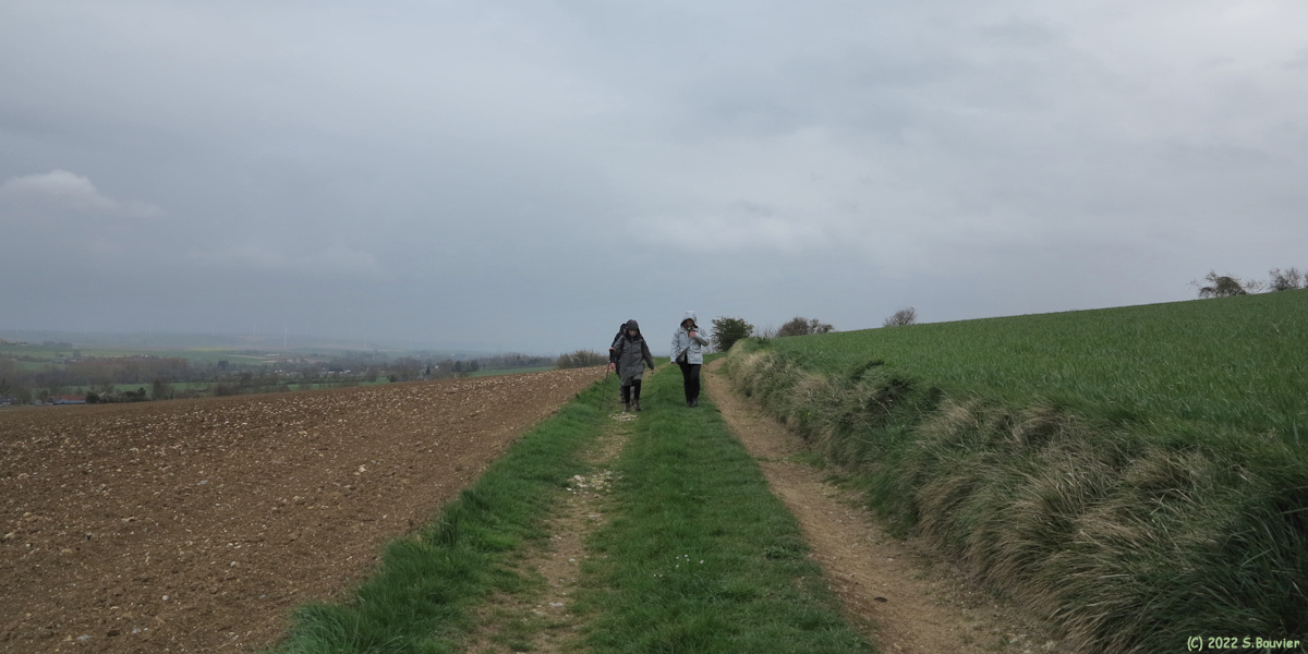 Fréauville (Chemin 2)