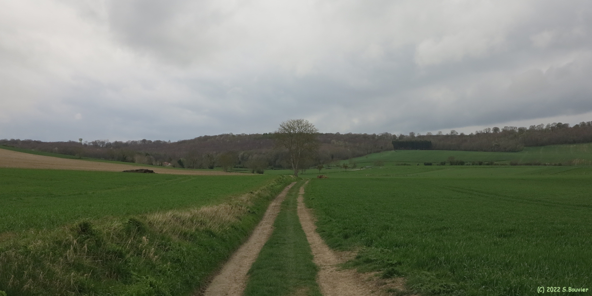 Fréauville (Chemin 3)