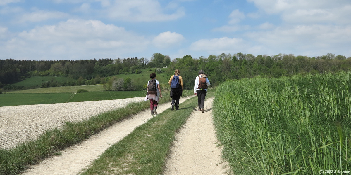 Bailleul Neuville (Chemin 2)