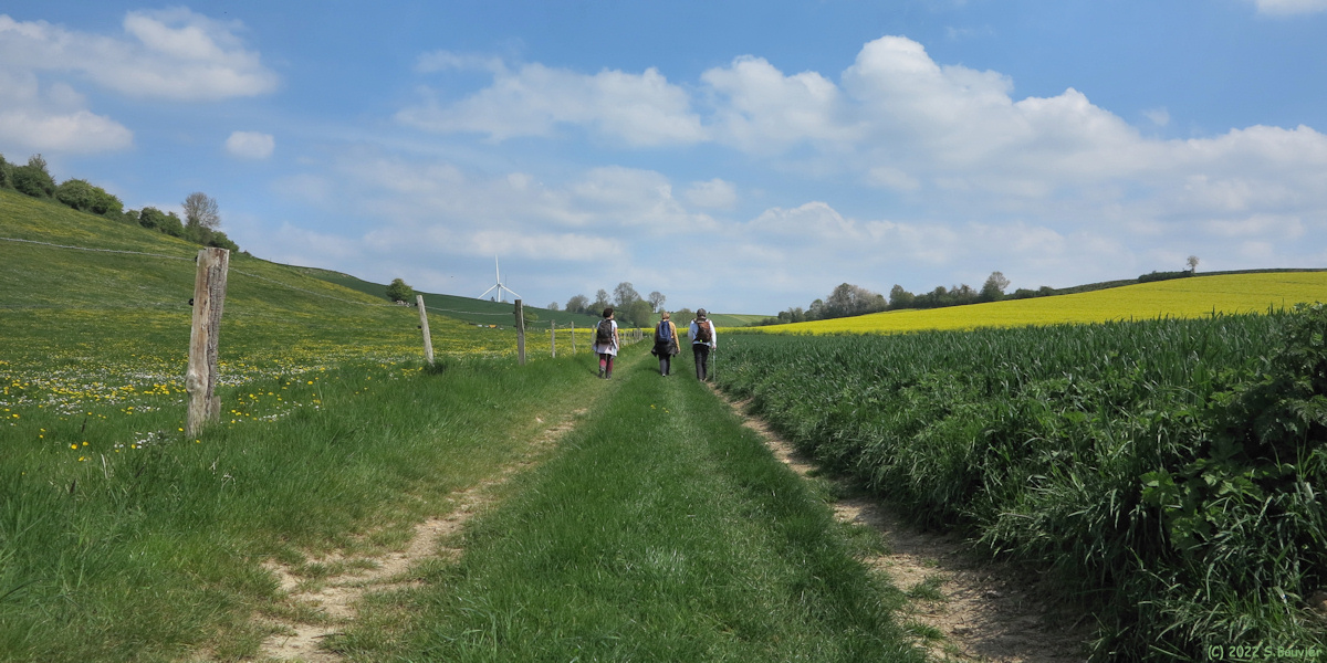 Smermesnil (Chemin)