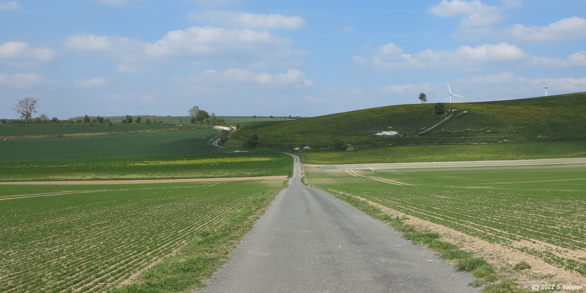 Fesques (Route)