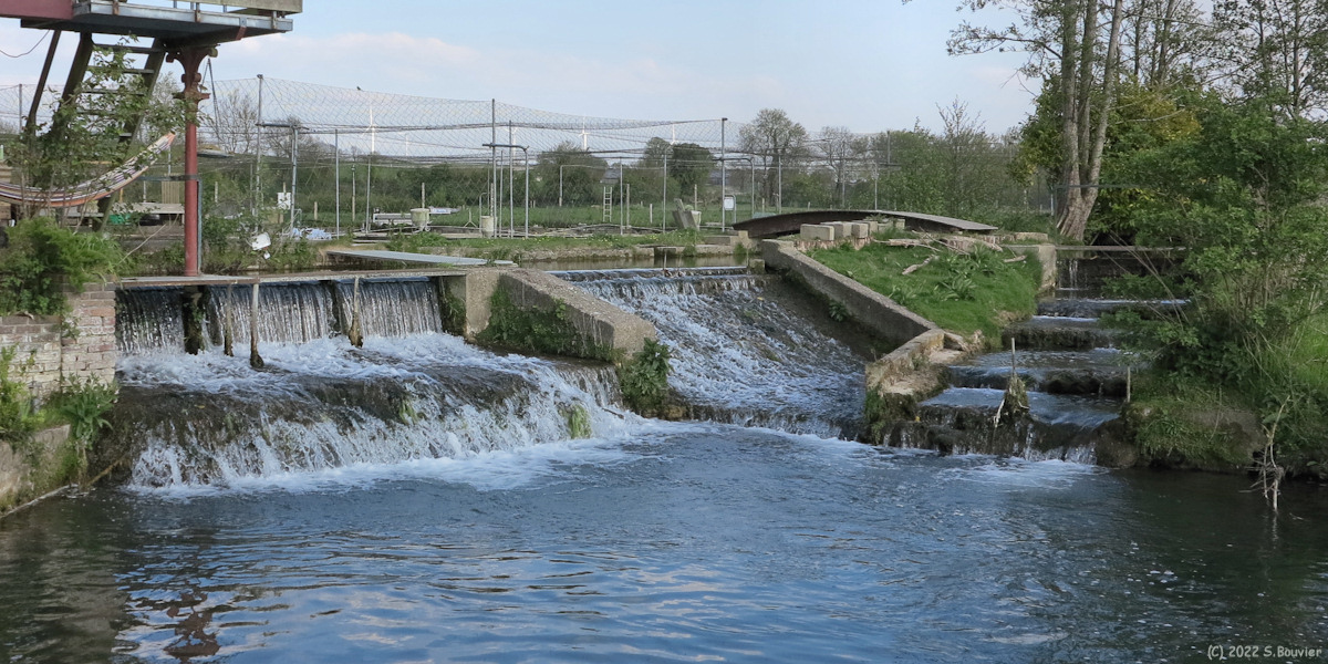 Clais (Pisciculture)