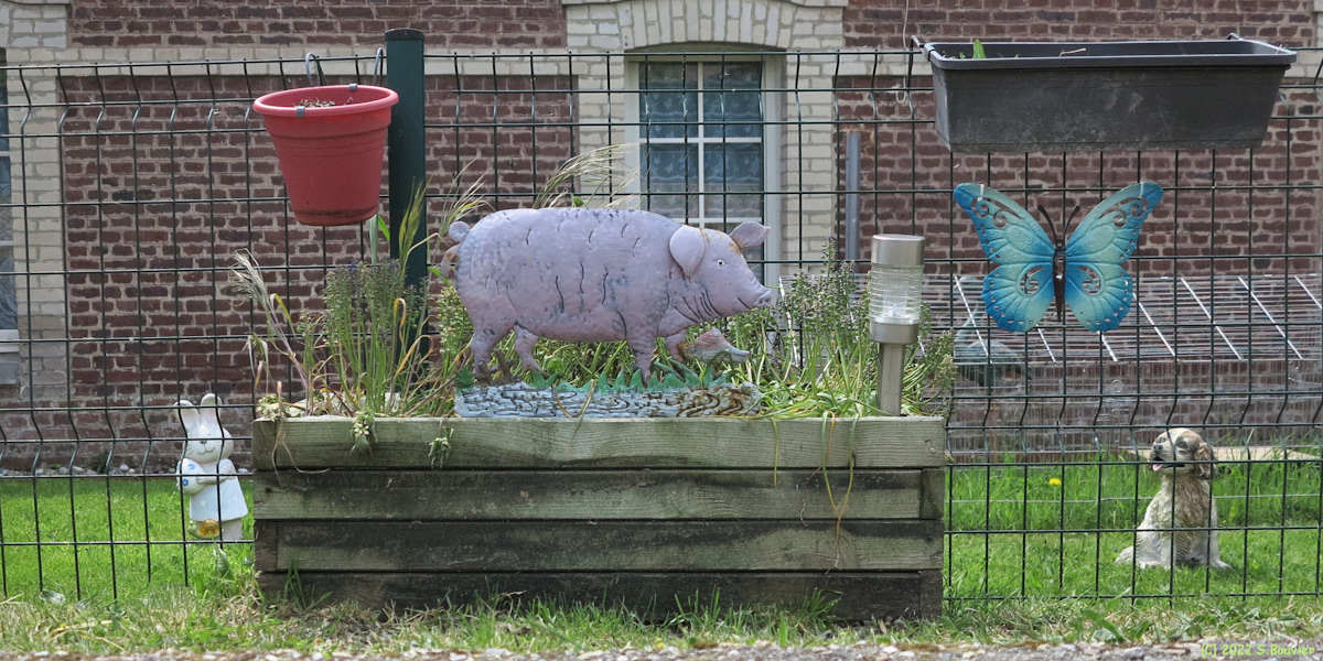 Sainte Beuve en Rivière (Animaux décoratifs)