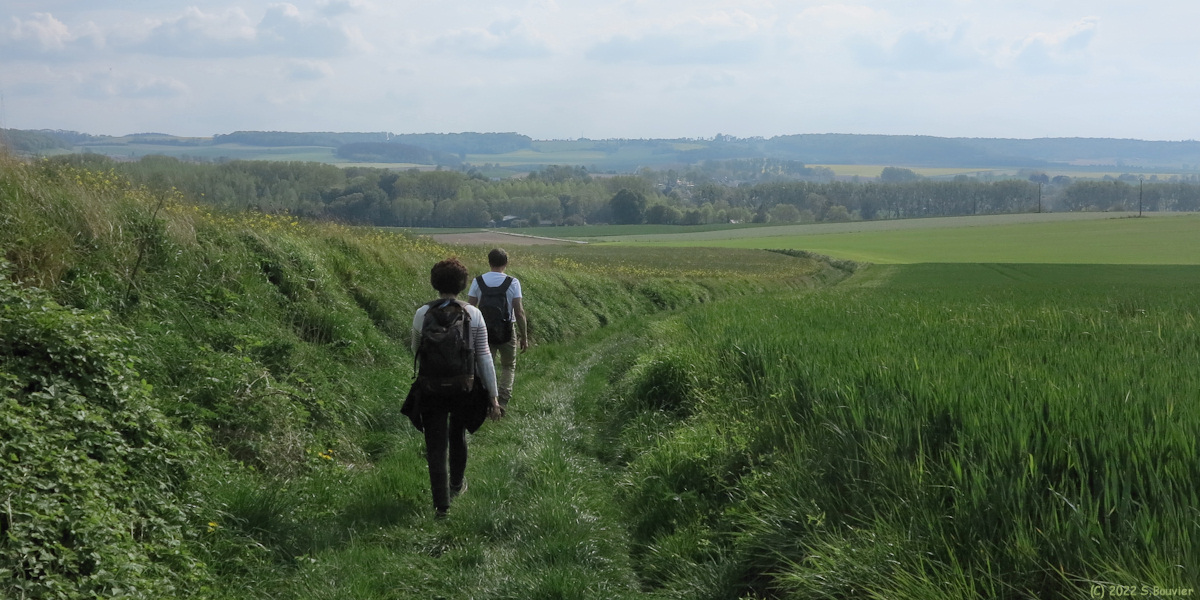Saint Germain sur Eaulne (Chemin)
