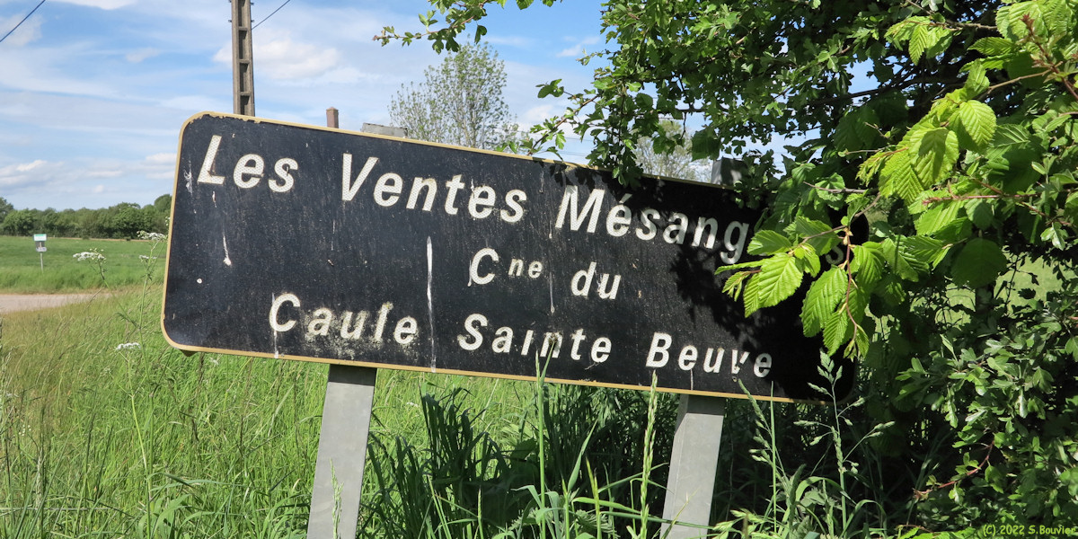 Caule Sainte Beuve (Panneau)