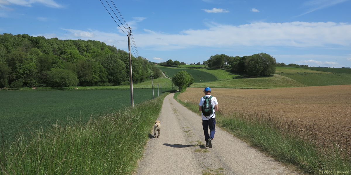 Caule Sainte Beuve (Route)