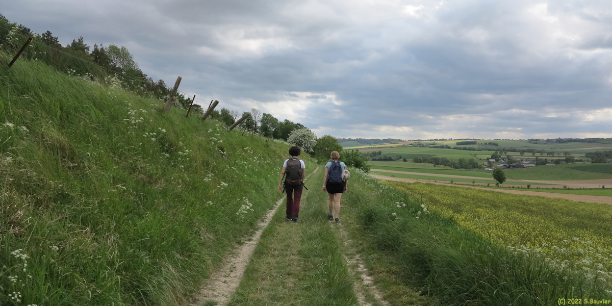 Sainte Beuve en Rivière (Chemin)
